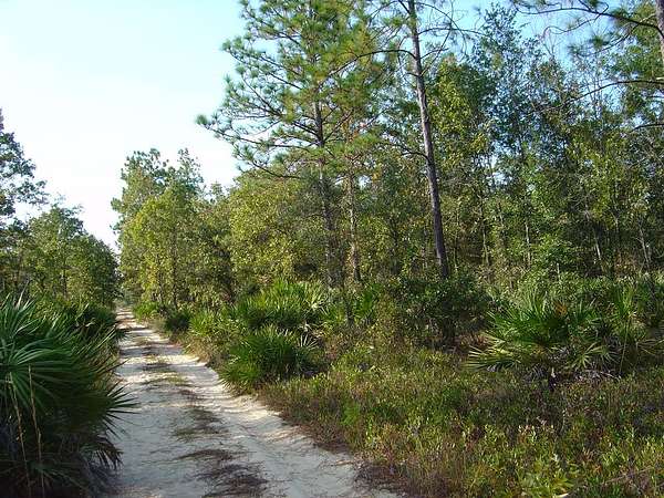 10 Acres of Recreational Land for Sale in Palatka, Florida