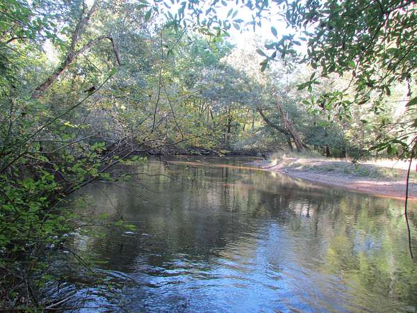 345 Acres of Recreational Land for Sale in South Lynchburg, South Carolina