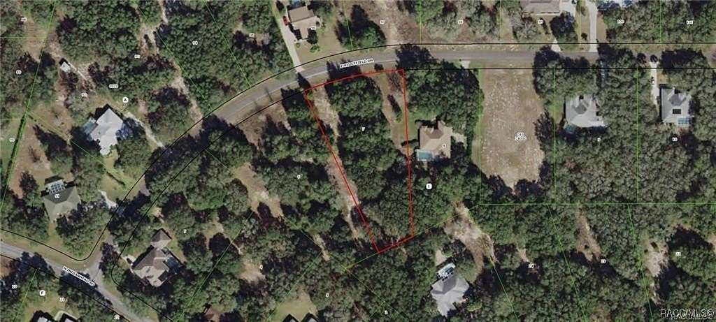 1.1 Acres of Land for Sale in Hernando, Florida
