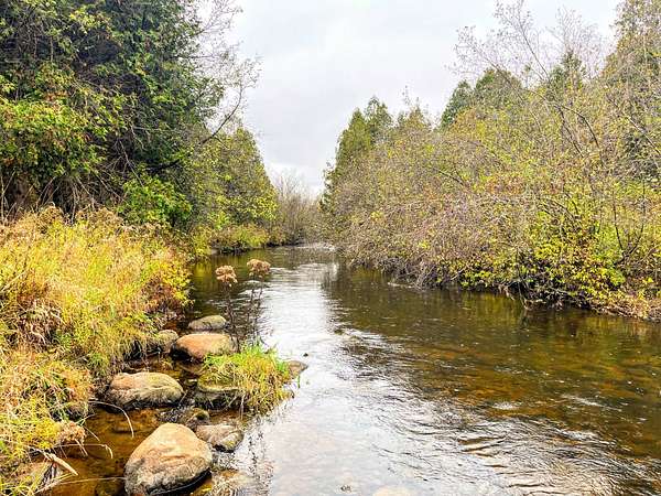 145 Acres of Recreational Land for Sale in Winthrop, New York