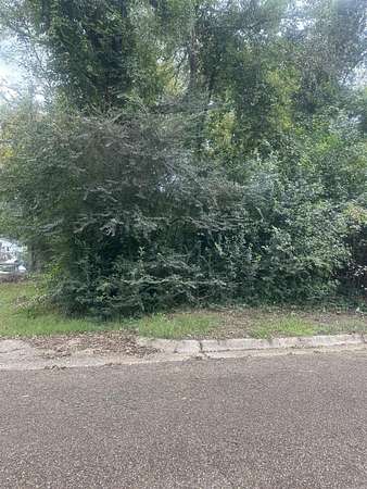 0.06 Acres of Residential Land for Sale in Camden, Arkansas