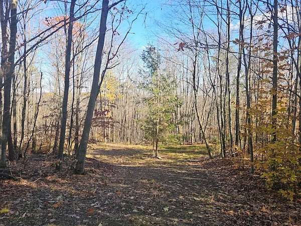 5.14 Acres of Land for Sale in Springwater, New York