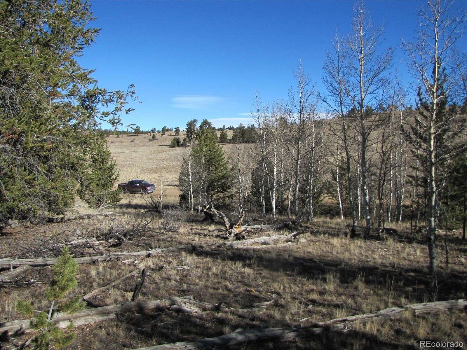 5 Acres of Residential Land for Sale in Hartsel, Colorado