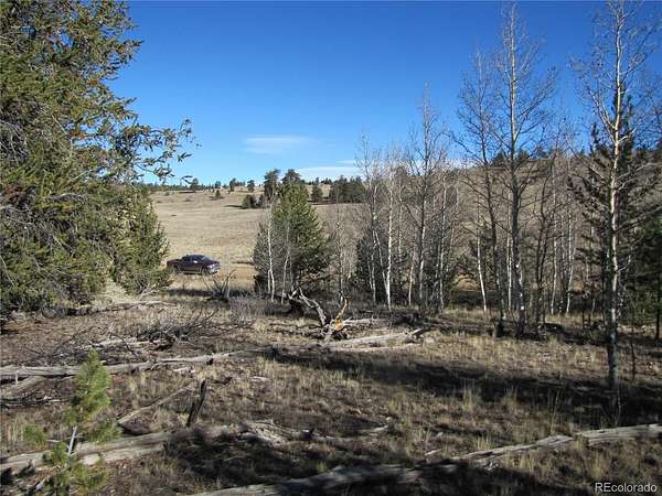 5 Acres of Residential Land for Sale in Hartsel, Colorado