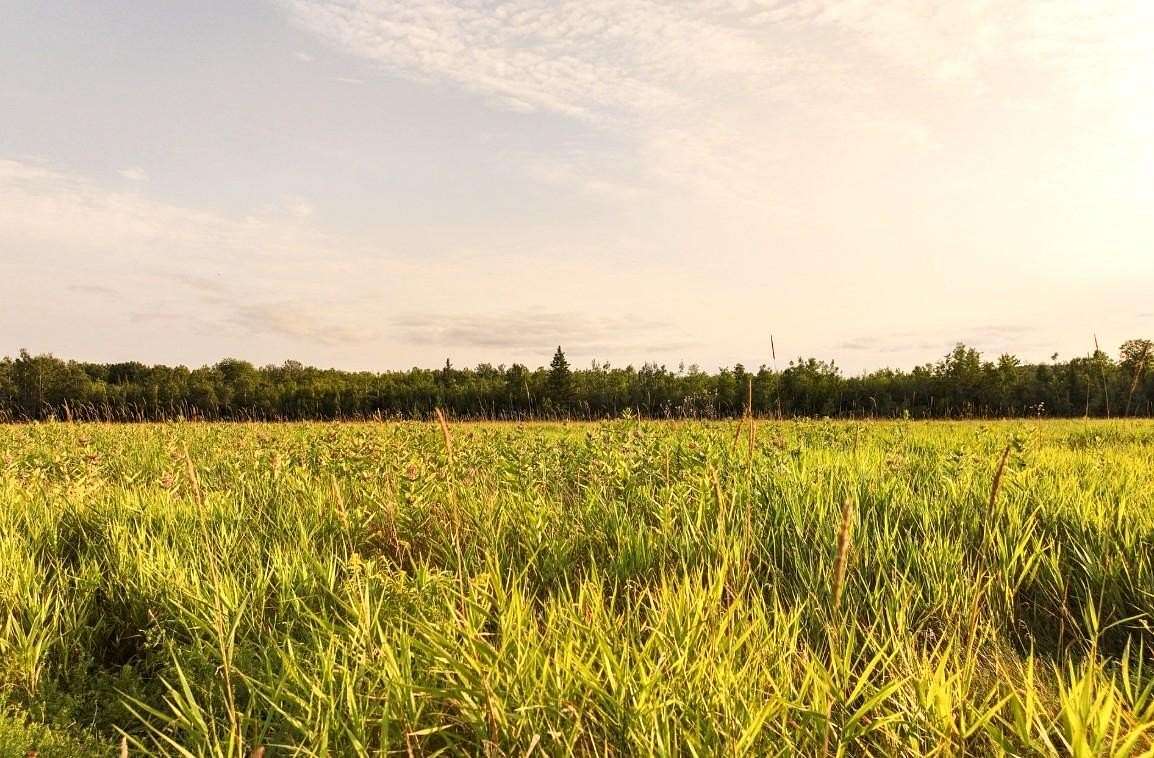 31.9 Acres of Agricultural Land for Sale in Argonne, Wisconsin