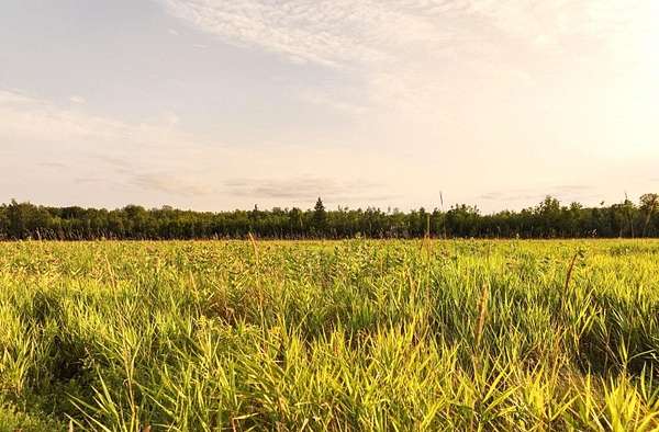 31.9 Acres of Agricultural Land for Sale in Argonne, Wisconsin