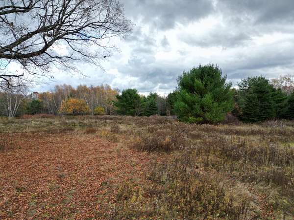 67.2 Acres of Land for Sale in Kingman Township, Maine