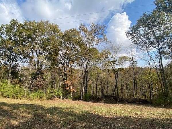 4.74 Acres of Land for Sale in Brooksville, Kentucky