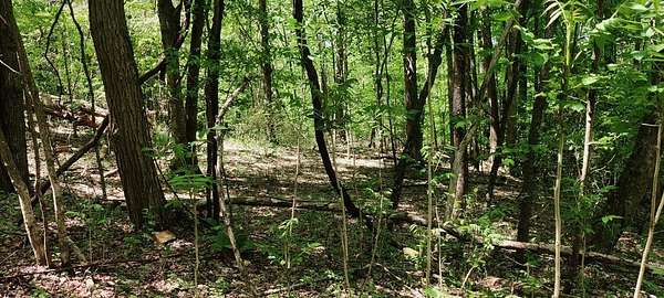 5.3 Acres of Residential Land for Sale in South Pittsburg, Tennessee