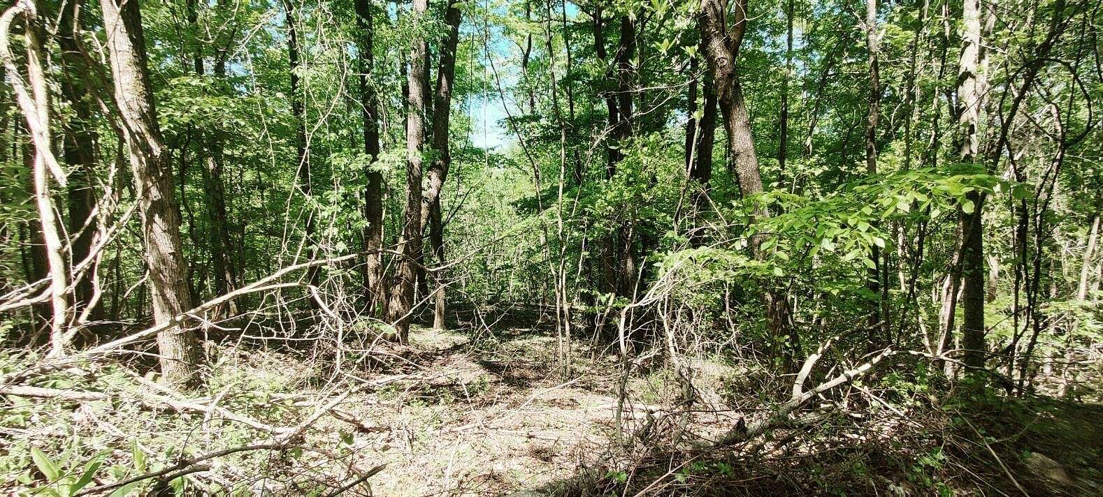 5.2 Acres of Residential Land for Sale in South Pittsburg, Tennessee