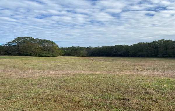 13 Acres of Land for Sale in Fitzpatrick, Alabama