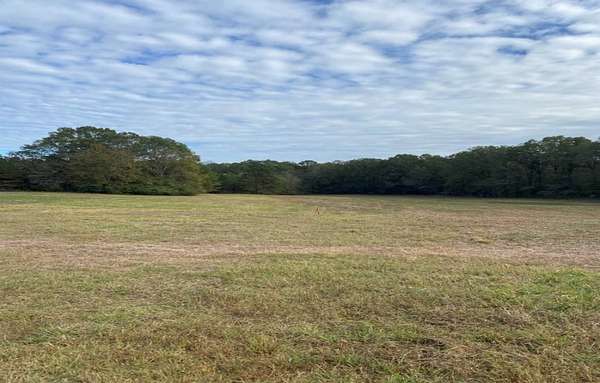 12.1 Acres of Land for Sale in Fitzpatrick, Alabama