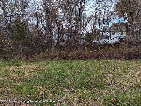 Residential Land for Sale in Perry, Michigan