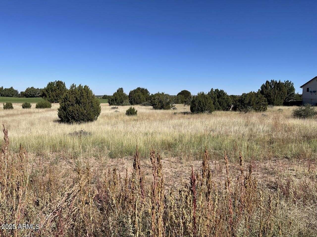 0.43 Acres of Residential Land for Sale in Show Low, Arizona