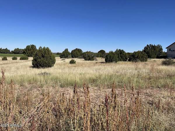 0.43 Acres of Residential Land for Sale in Show Low, Arizona