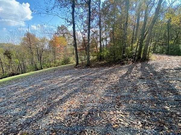 4.44 Acres of Land for Sale in Brooksville, Kentucky