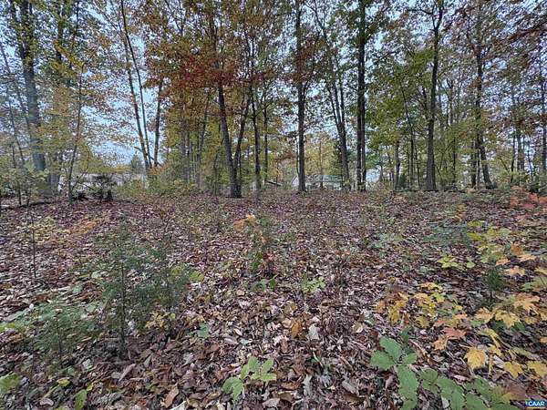 0.68 Acres of Residential Land for Sale in Mineral, Virginia