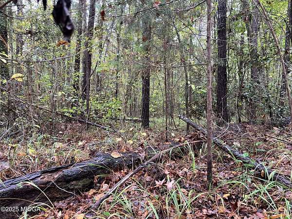 1.23 Acres of Residential Land for Sale in Gray, Georgia