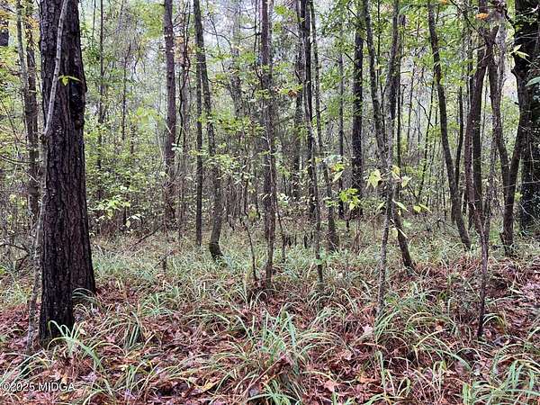 1.38 Acres of Residential Land for Sale in Gray, Georgia