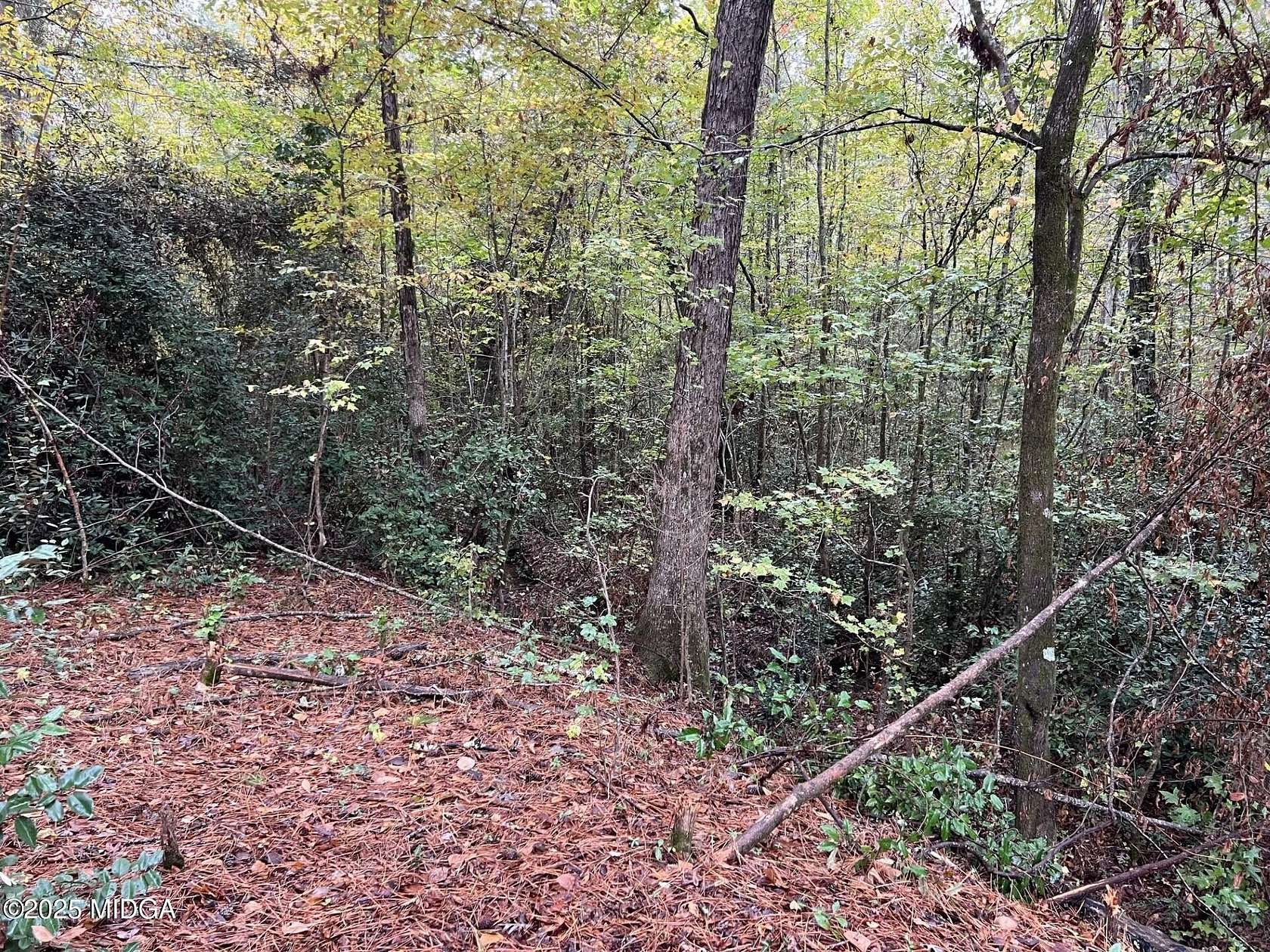 1.5 Acres of Residential Land for Sale in Gray, Georgia