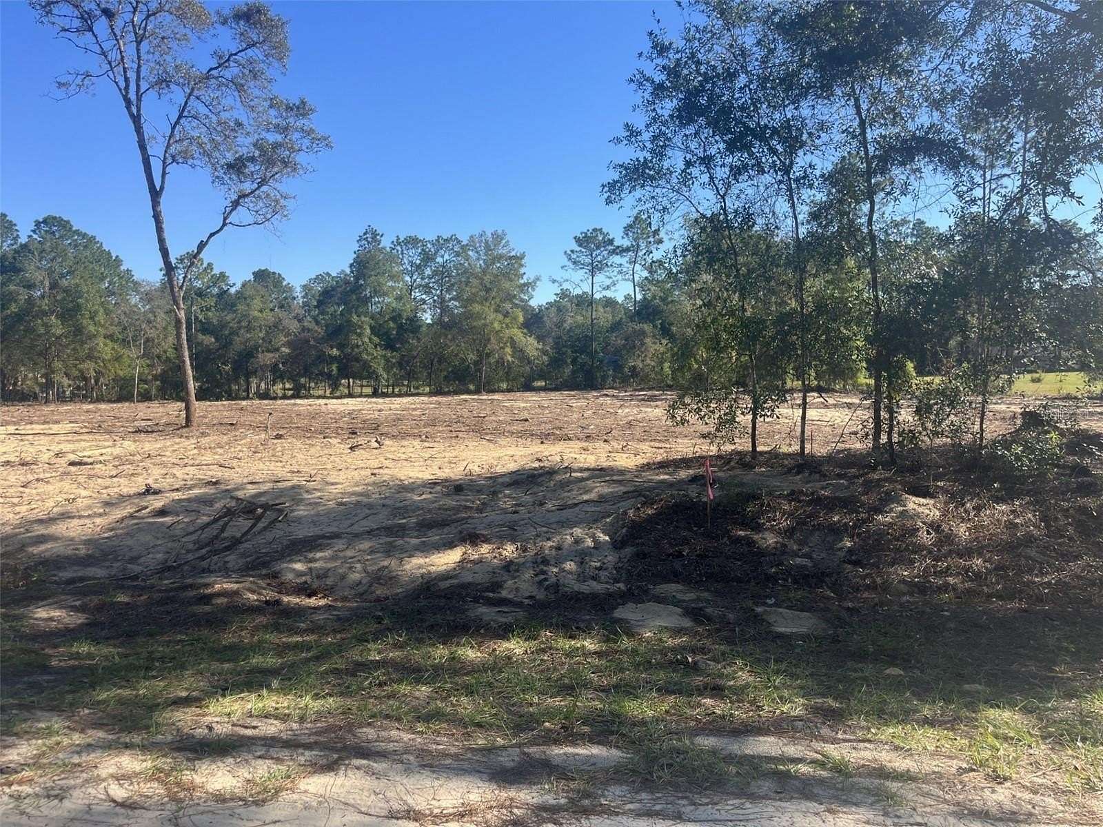 3.14 Acres of Residential Land for Sale in Ocala, Florida
