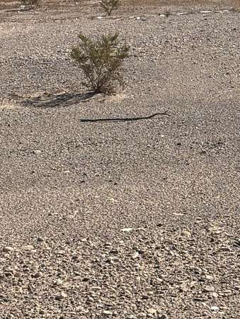 8.67 Acres of Residential Land for Sale in Yucca, Arizona