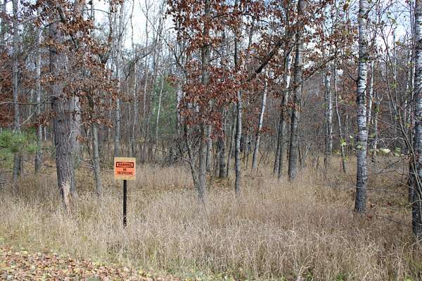 0.43 Acres of Land for Sale in Mio, Michigan