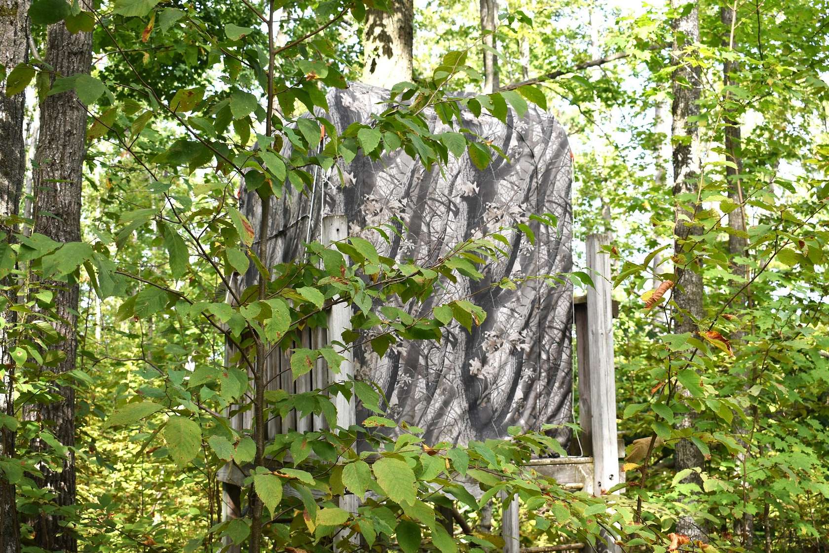 14 Acres of Recreational Land for Sale in Wolverine, Michigan