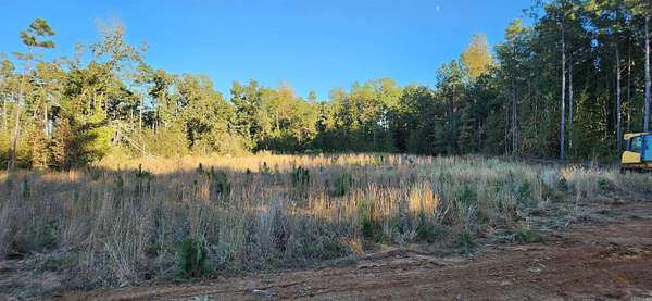 3 Acres of Residential Land for Sale in Star City, Arkansas