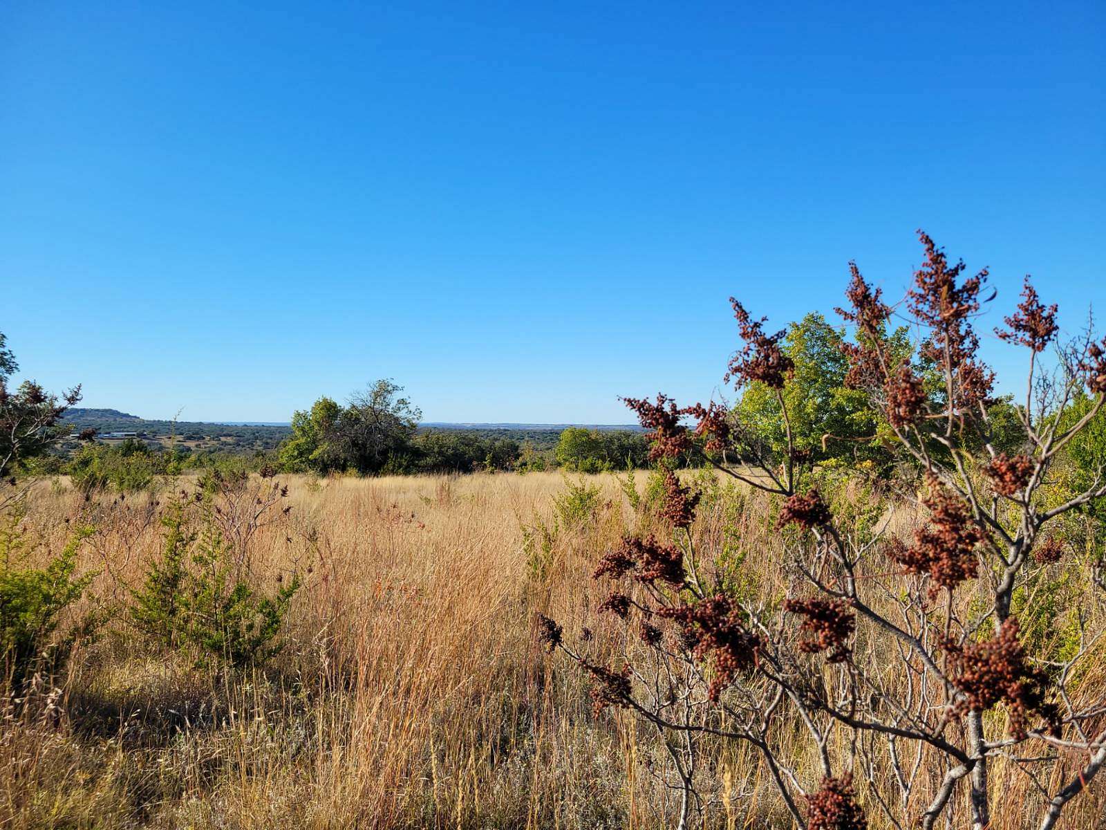 10 Acres of Land for Sale in Hamilton, Texas