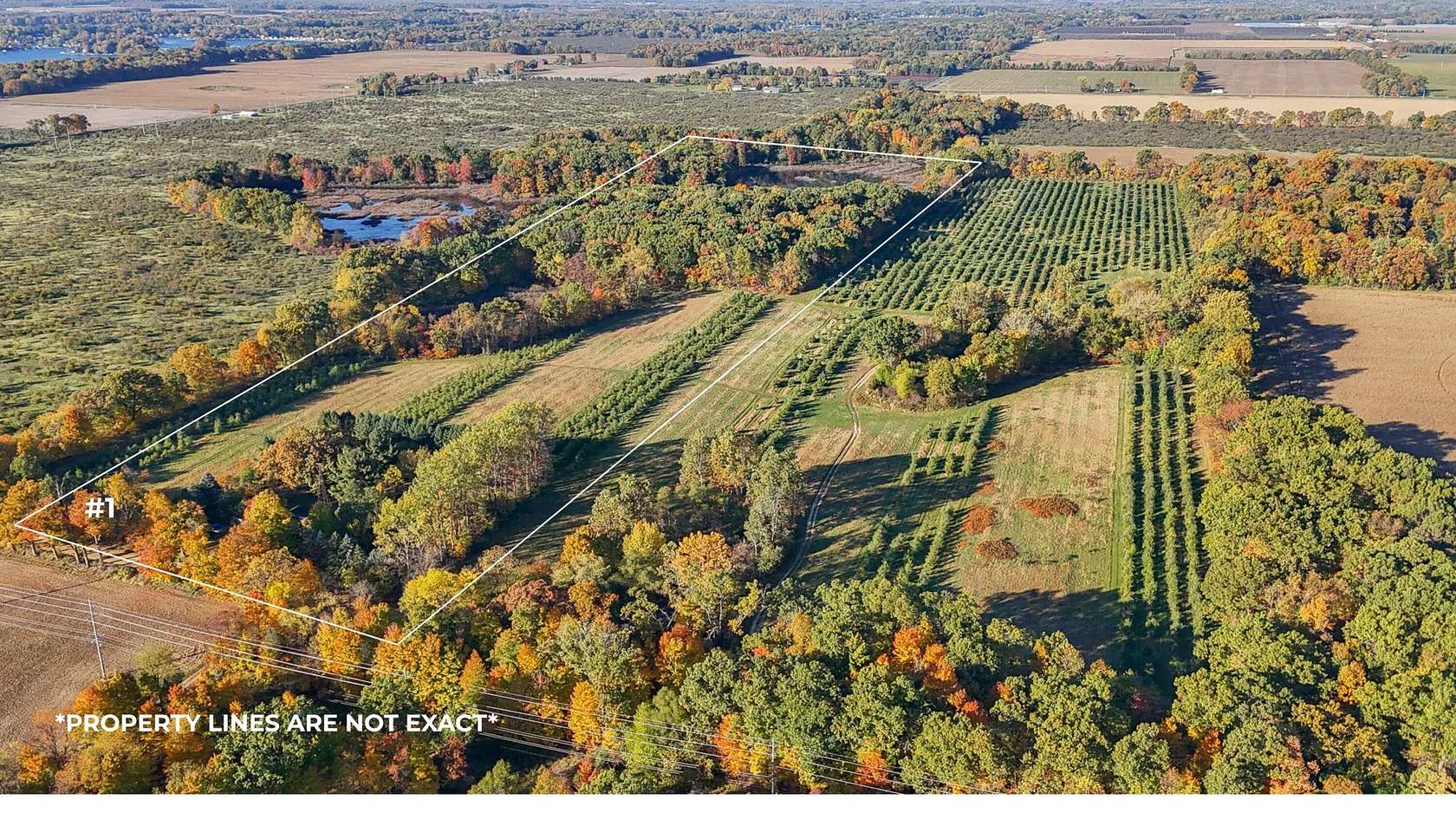 38.6 Acres of Recreational Land & Farm for Sale in Decatur, Michigan