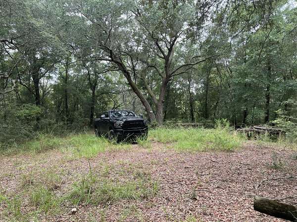 4.77 Acres of Residential Land for Sale in Holt, Florida