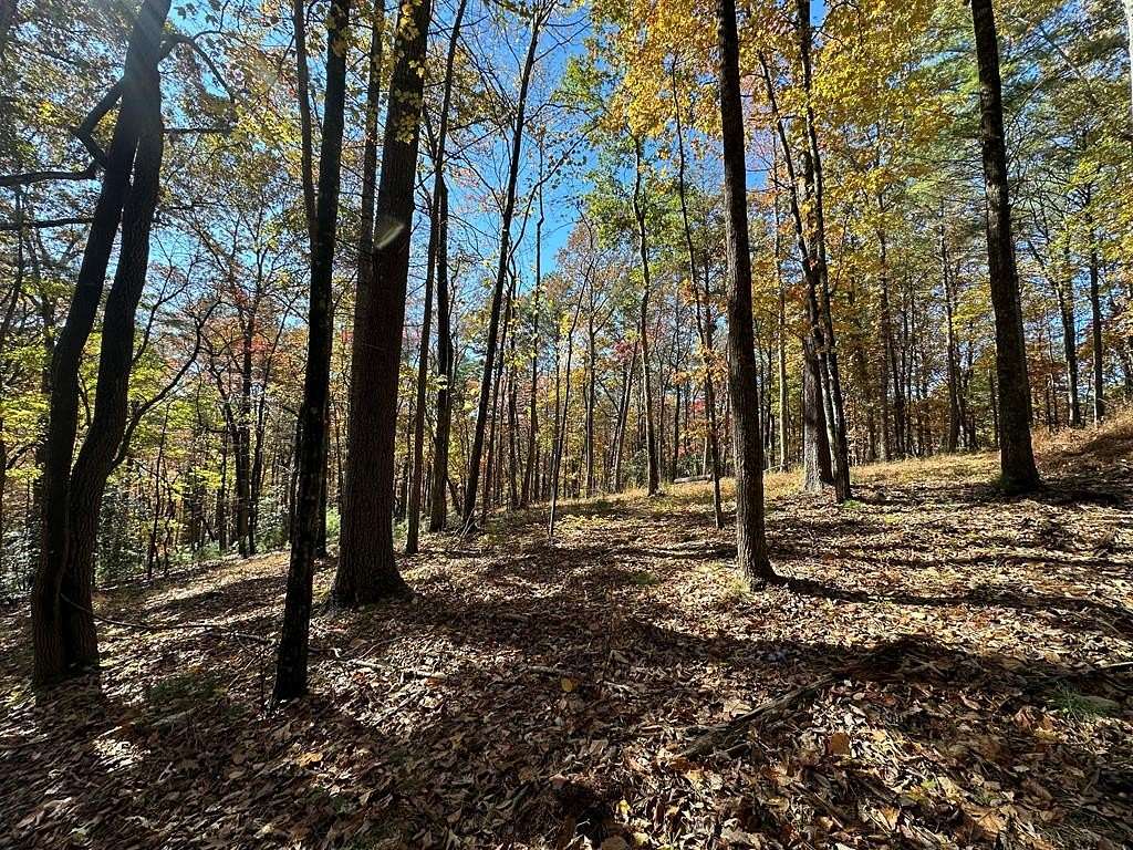 13.3 Acres of Recreational & Residential Land for Sale in Blue Ridge, Georgia