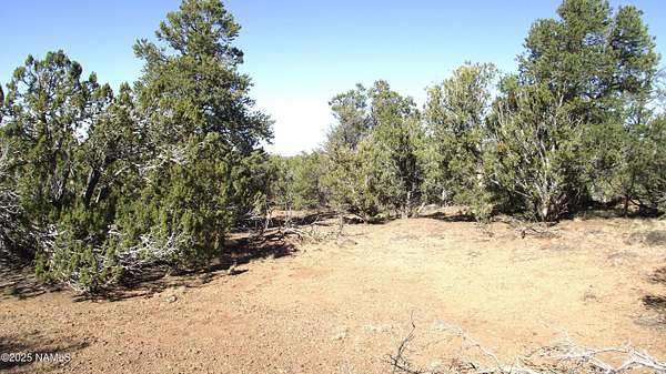 1 Acre of Land for Sale in Williams, Arizona