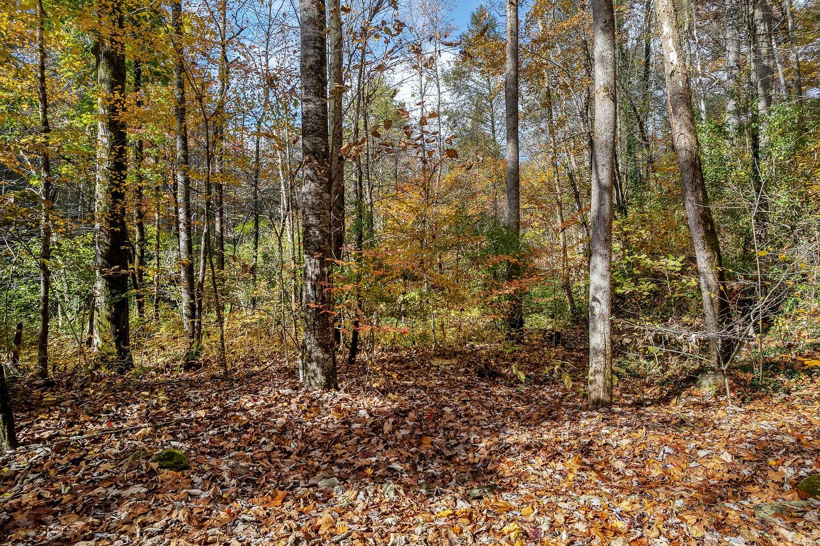 0.79 Acres of Residential Land for Sale in Tellico Plains, Tennessee