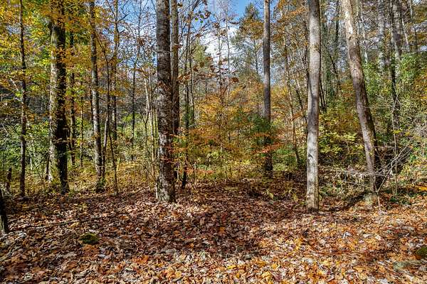 0.79 Acres of Residential Land for Sale in Tellico Plains, Tennessee