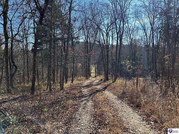 19.2 Acres of Recreational Land for Sale in Custer, Kentucky