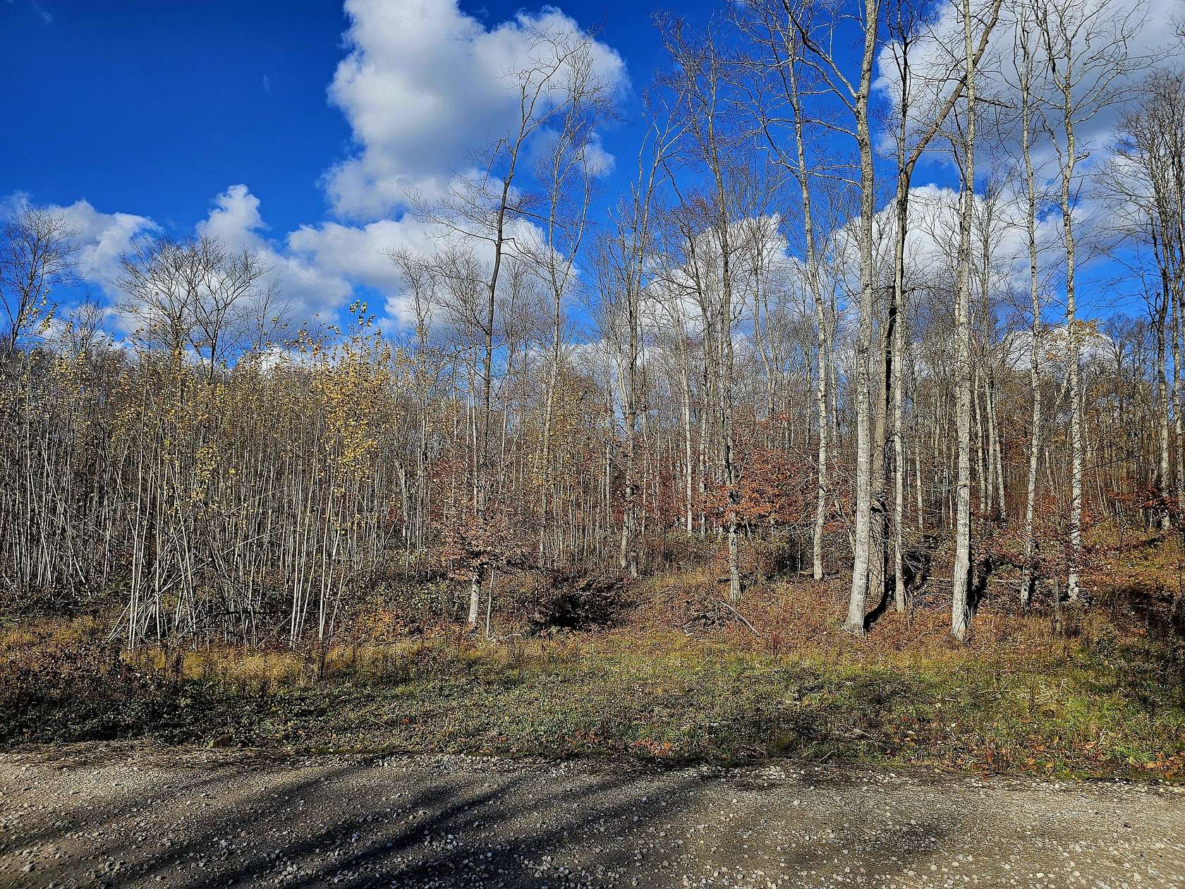 1 Acre of Land for Sale in Curtis, Michigan