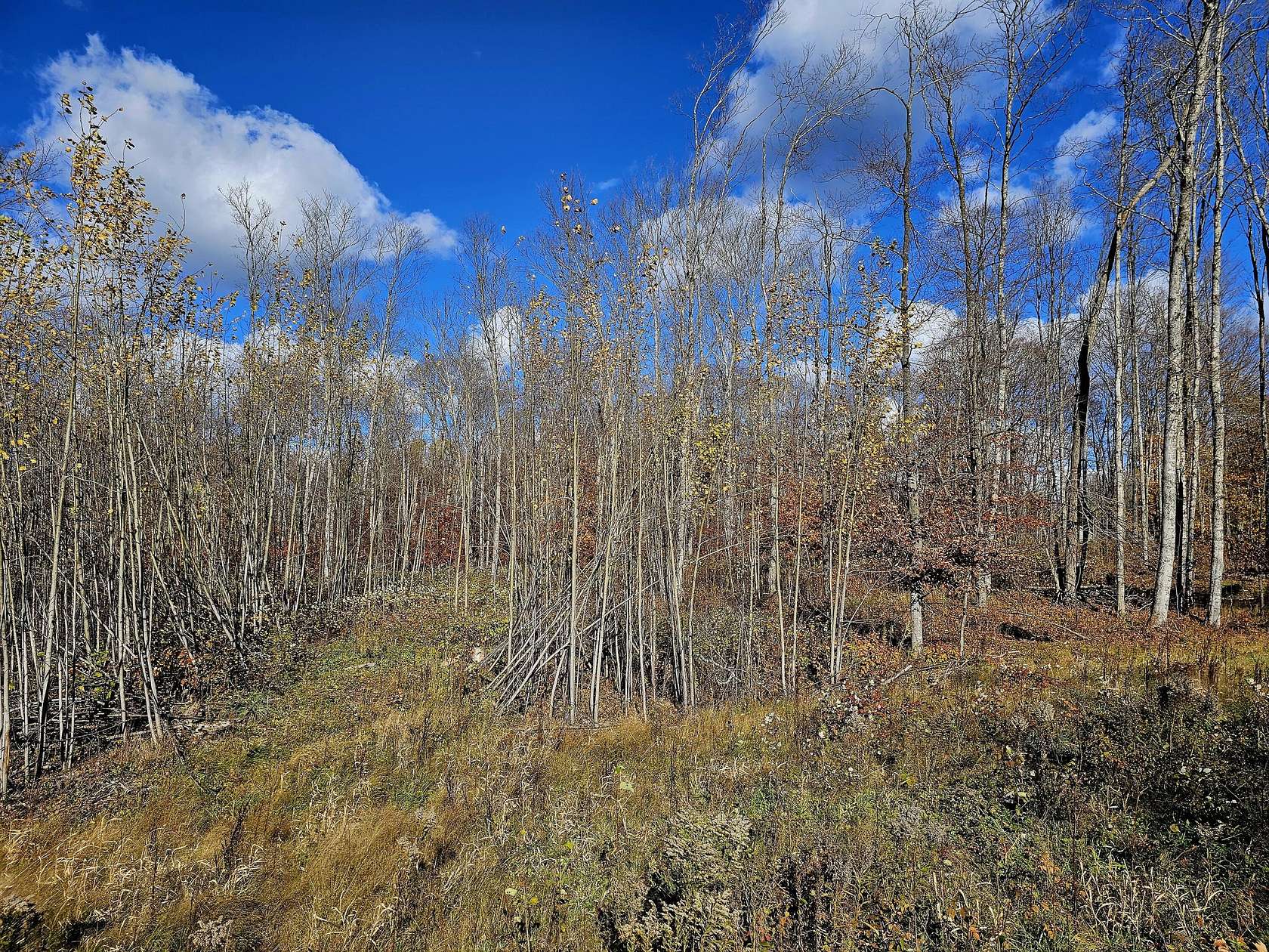 1 Acre of Land for Sale in Curtis, Michigan