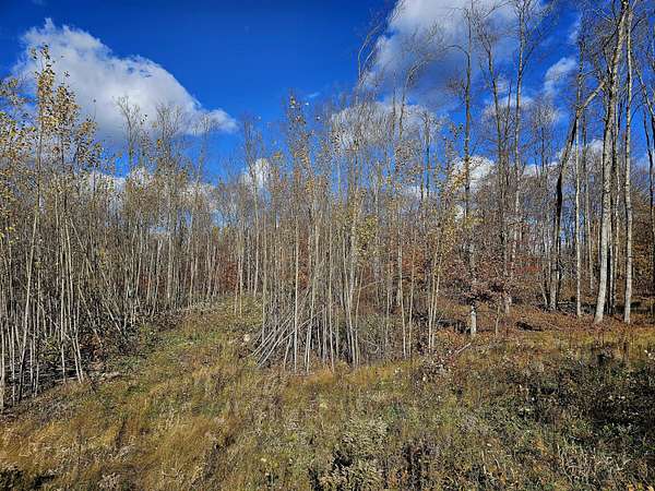 1 Acre of Land for Sale in Curtis, Michigan