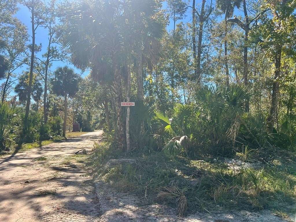0.3 Acres of Land for Sale in Steinhatchee, Florida