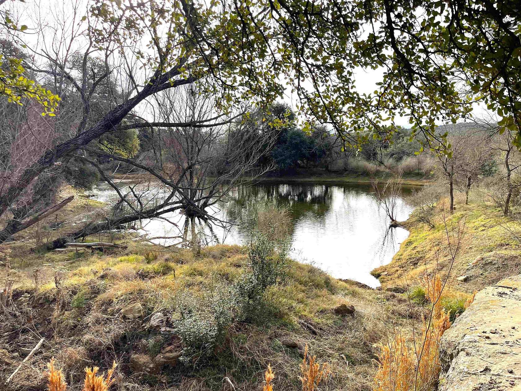 91.6 Acres of Agricultural Land for Sale in Cherokee, Texas