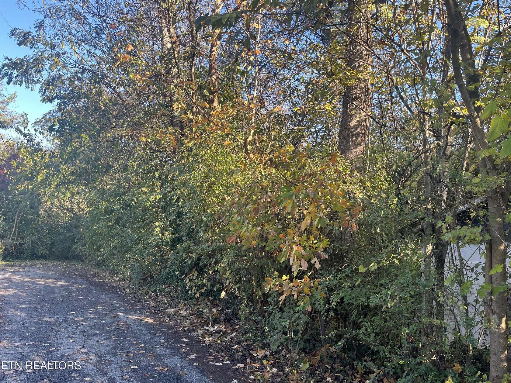 0.46 Acres of Residential Land for Sale in Knoxville, Tennessee