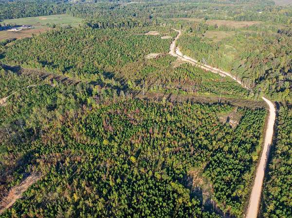 18 Acres of Agricultural Land for Auction in Bath Springs, Tennessee