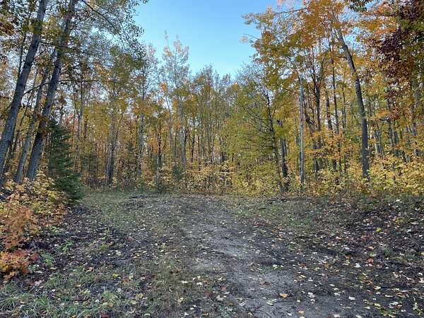 1 Acre of Residential Land for Sale in Cheboygan, Michigan
