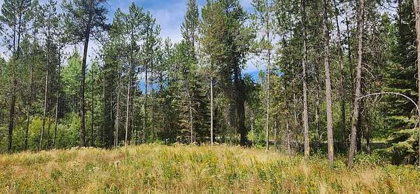 0.46 Acres of Residential Land for Sale in Donnelly, Idaho