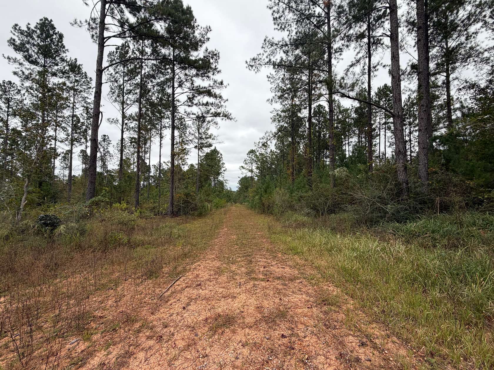 593 Acres of Recreational Land for Sale in Flomaton, Alabama