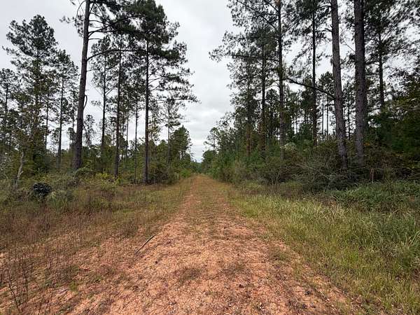 593 Acres of Recreational Land for Sale in Flomaton, Alabama