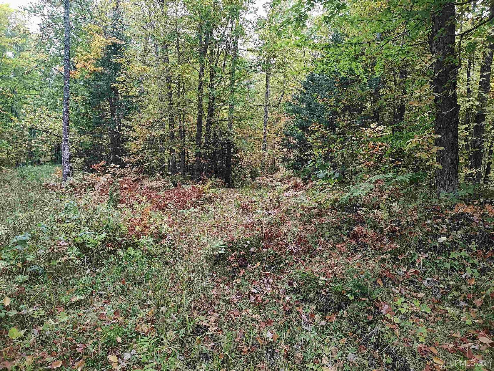 160 Acres of Recreational & Residential Land for Sale in Pelkie, Michigan
