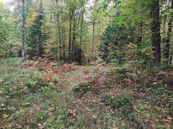 160 Acres of Recreational & Residential Land for Sale in Pelkie, Michigan